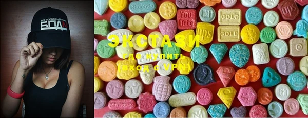 ECSTASY Вяземский